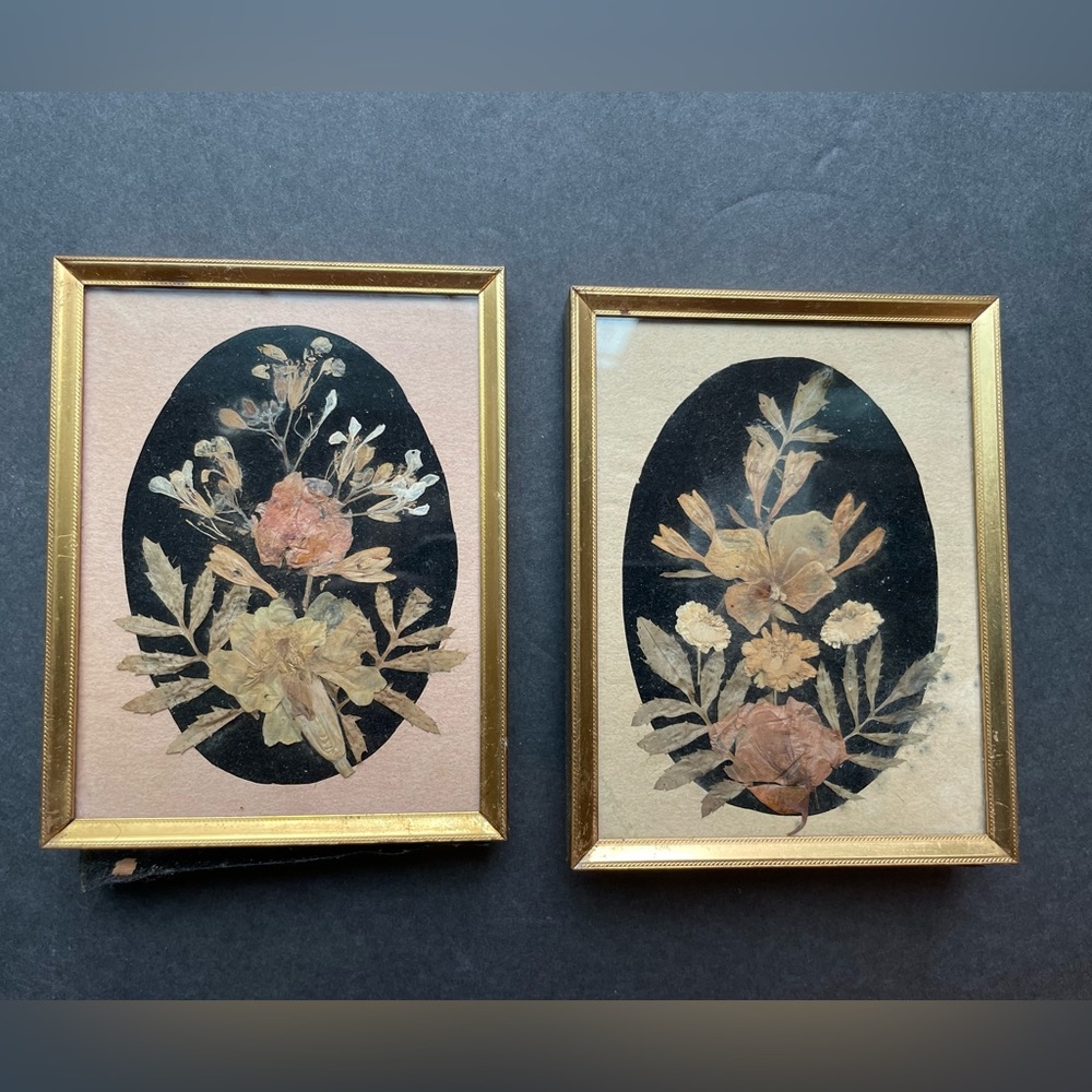 Vintage dried garden art in frame. Cottagecore.